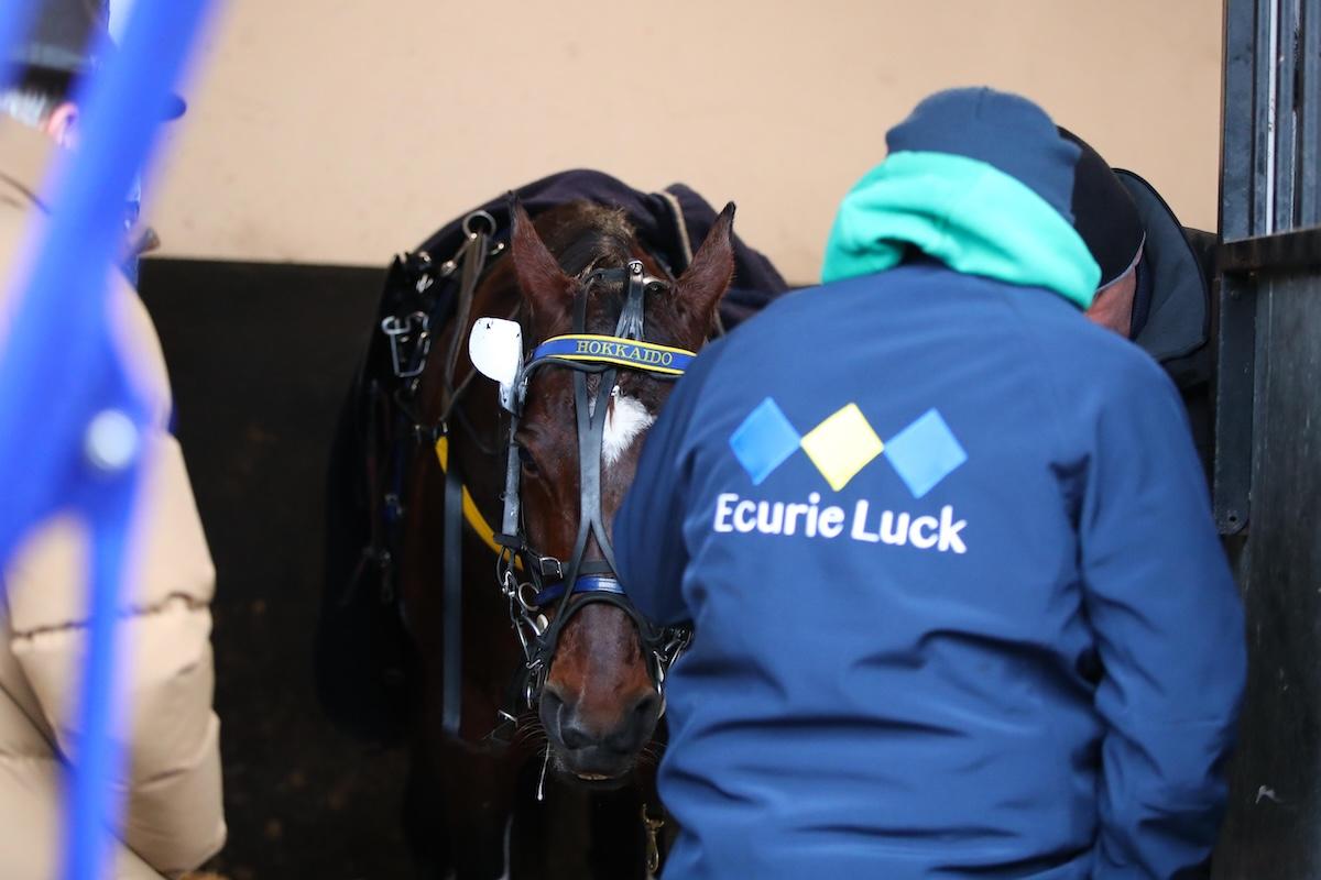 , Vincennes; Meeting d’hiver de Vincennes 2025-2026 : Nicolas Bazire, une victoire haut la main